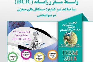2nd Iranian Brain Computer Interface Competition (iBCIC)